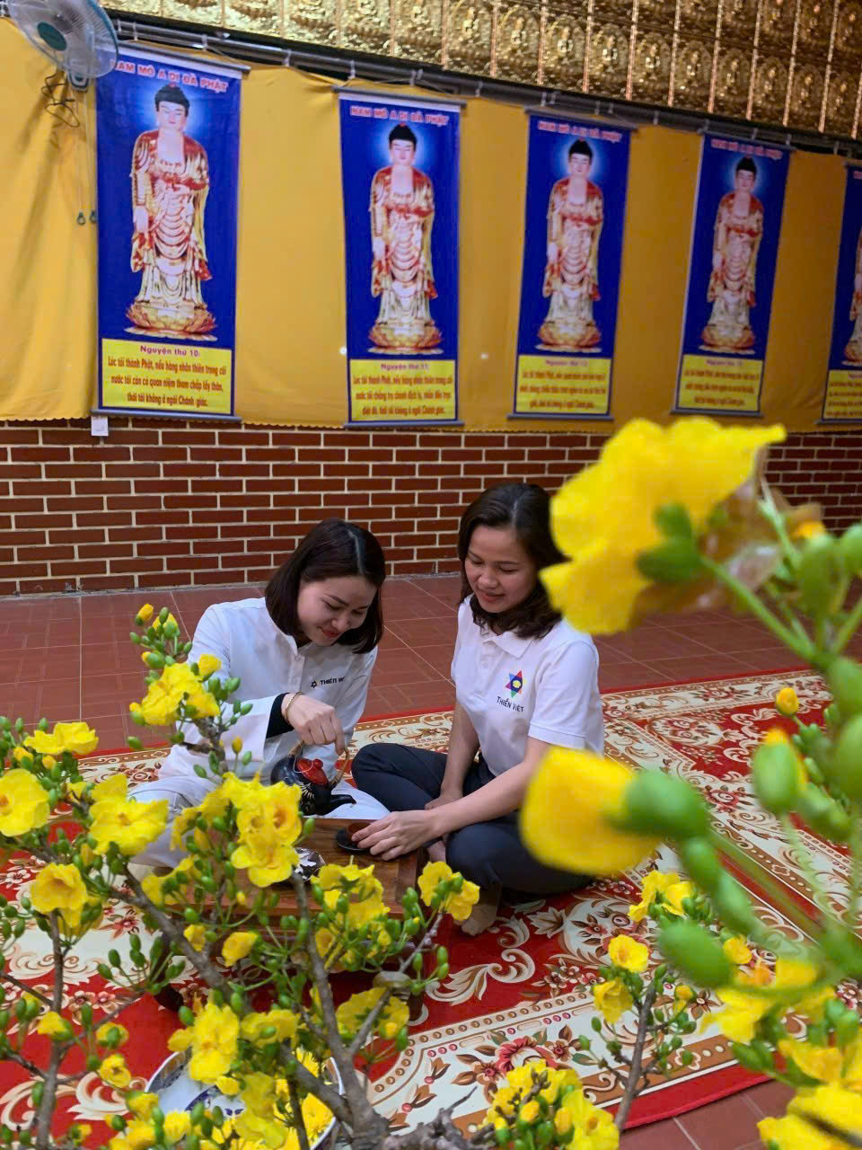 Người sáng lập Sương Hàn Peaceful